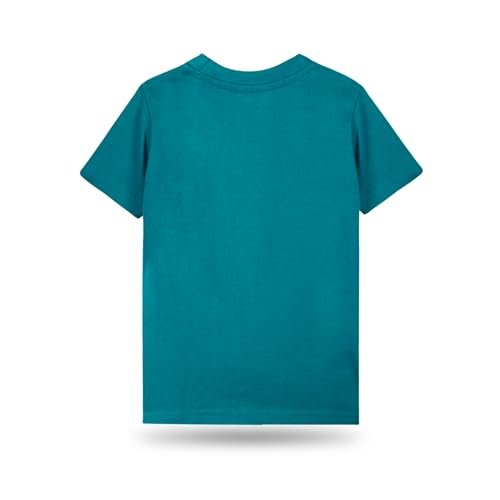 T2F Boys Cotton Regular fit T-Shirts Pack of 5 (20 Pics) - Image 4
