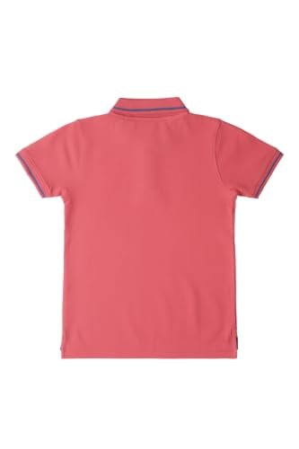 Boys Cotton Regular Fit T-Shirt - Image 5